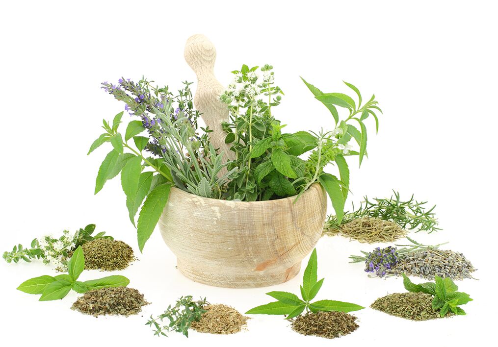 Plant extracts in product ingredients