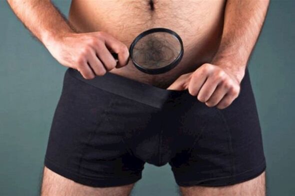 Men dream of growing their own penis at home